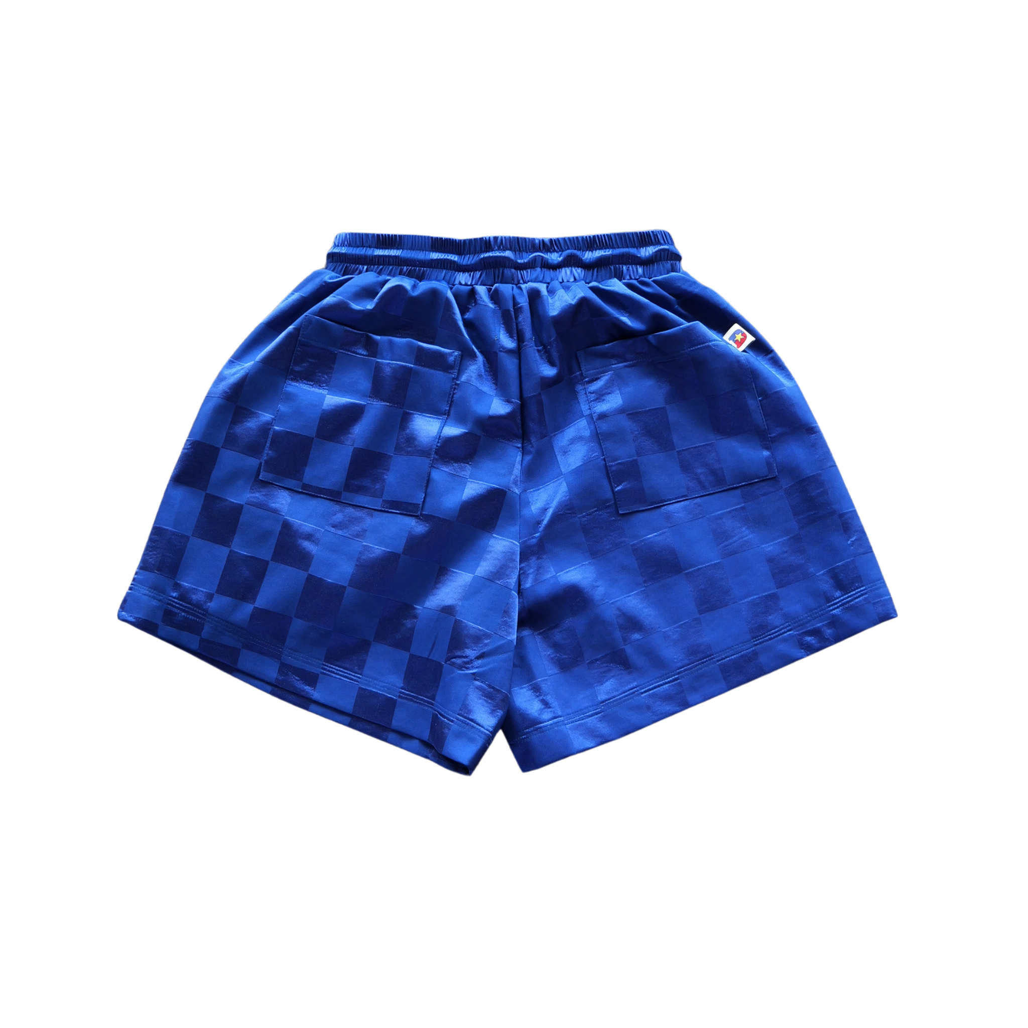 DSM "Checkered" Nylon Shorts (Blue)