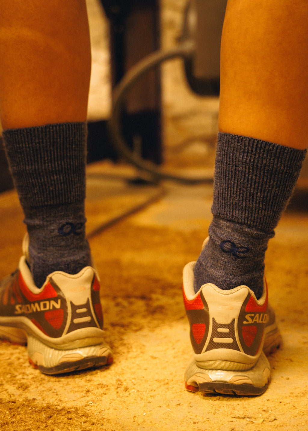 The Merino Field Sock